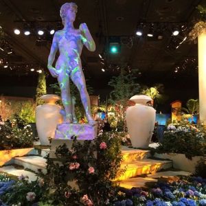 11084267_10206049376214435_4232753186933773257_n