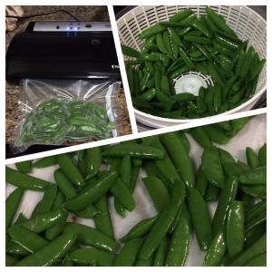 11731946_10206888072501318_7657874944031871200_o