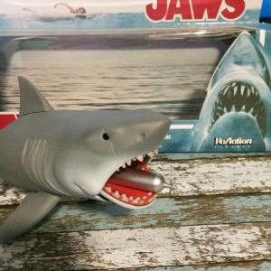 11893811_10207541868045798_7895432868936346365_o