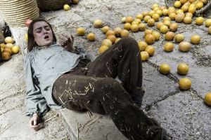 13427956_10209394436718857_8441211163013131779_n