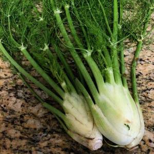 13679913_10209720855199115_8063550179014945110_o