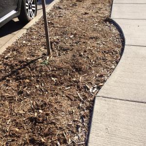 14940111_10210753488454301_4437996582853305704_o