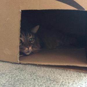 15975118_10211374548300409_2825939500359215214_o